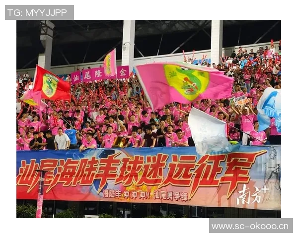 足球明星齐聚汕尾共庆盛事引发球迷热潮 足球明星齐聚汕尾共庆盛事引发球迷热潮